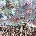 Long View